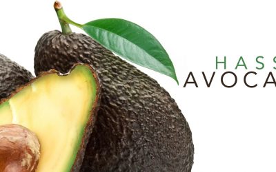 12 Proven Benefits of Avocado, The incredible Avocado